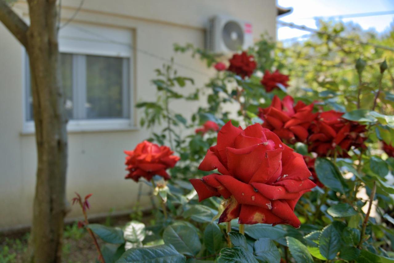 Apartments Meli زادار المظهر الخارجي الصورة