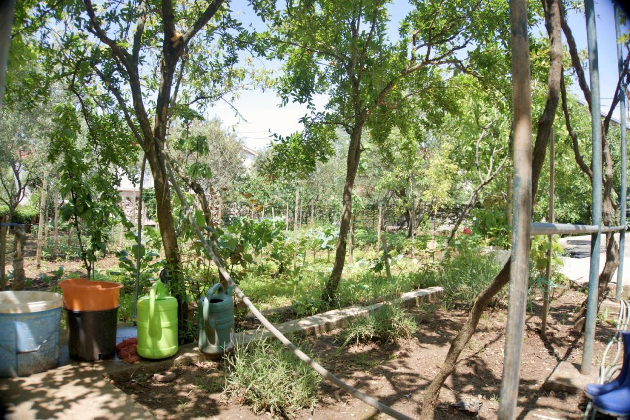 Apartments Meli زادار المظهر الخارجي الصورة