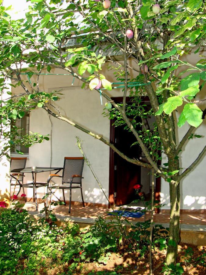 Apartments Meli زادار المظهر الخارجي الصورة