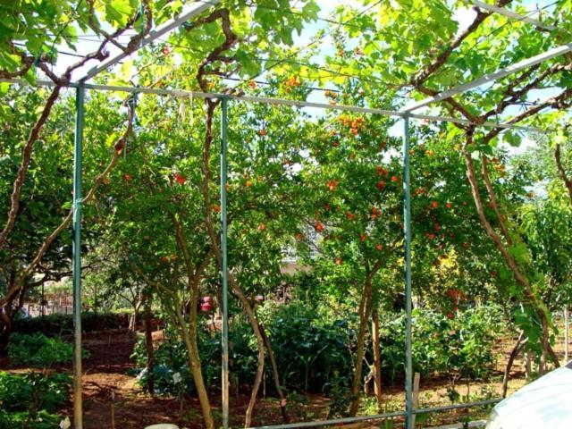 Apartments Meli زادار المظهر الخارجي الصورة