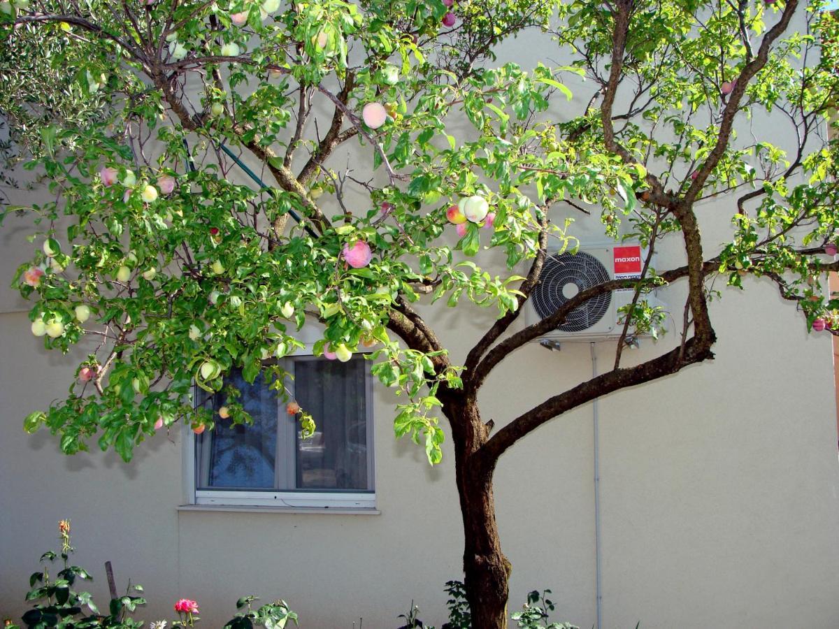 Apartments Meli زادار المظهر الخارجي الصورة